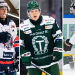 Tio oväntade utropstecken under hösten i Hockeyettan