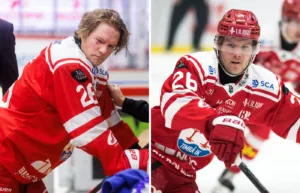 Timrås besked efter otäcka skadan