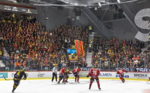 Riskerar att gå minus på CHL – trots final: ”Det räcker inte”