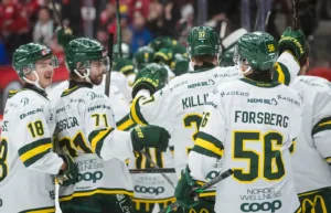 Ryck i sista perioden avgjorde för Björklöven borta mot Vimmerby