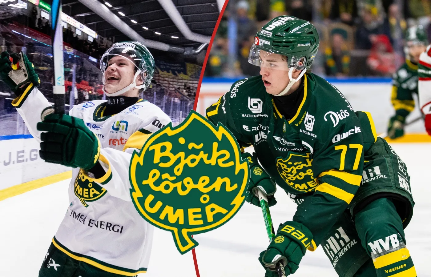 Hävelid om Björklövens succéjunior: ”Verkligen stuckit ut”