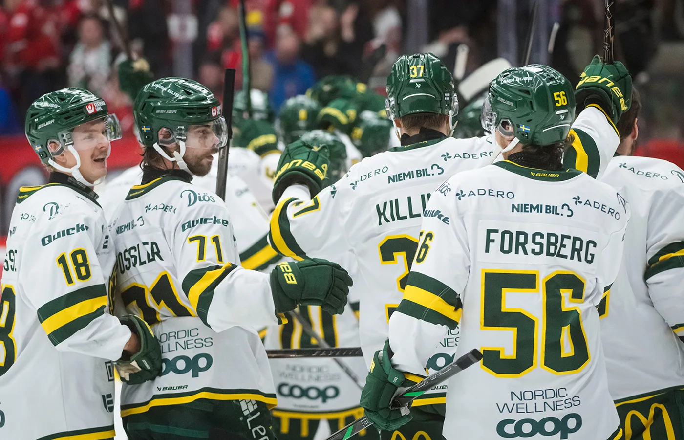 Björklöven studsar tillbaka efter chockförlusten