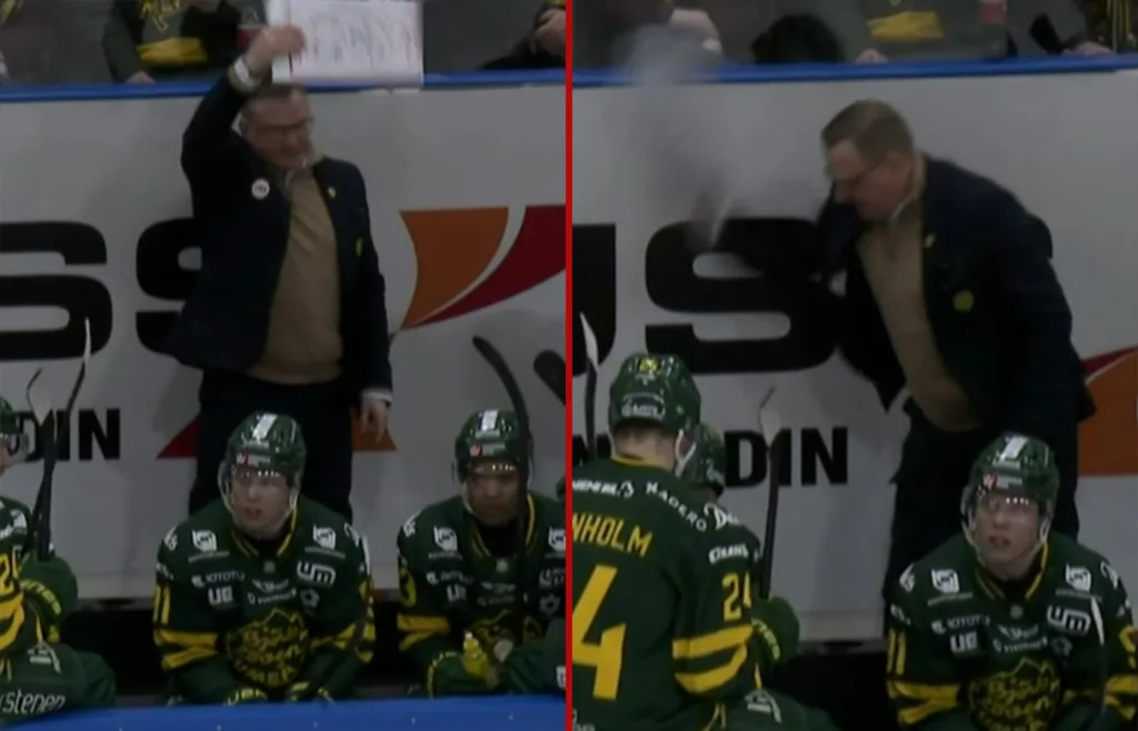 Magnus Bogren. Björklöven.