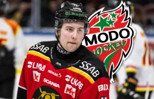 Klart: MoDo lånar Luleå-centern