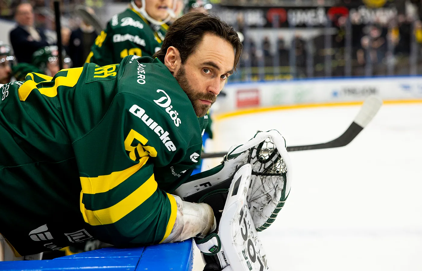 Björklöven tvingas till lån – från Västervik