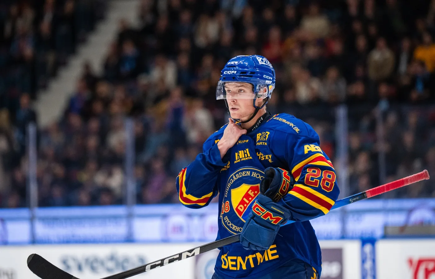 Djurgårdens mardrömsform – hemma på Hovet