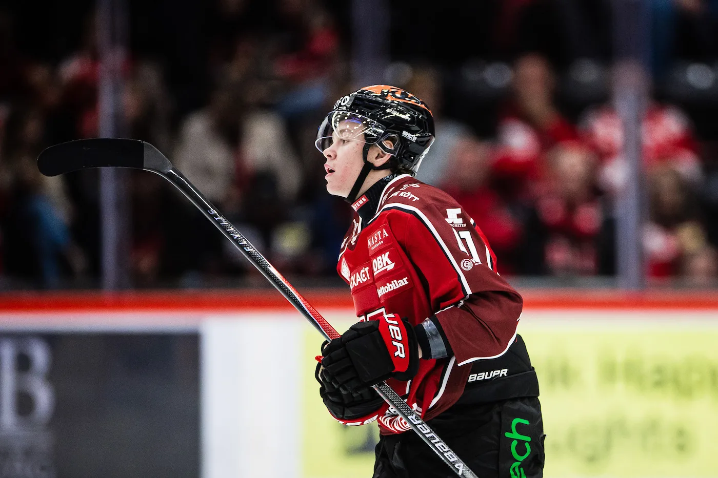 Därför är talangen tillbaka i SHL