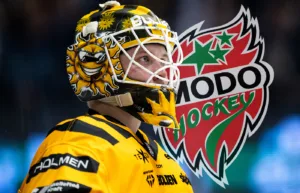 MoDo lånar SHL-målvakt: ”Bra lösning”