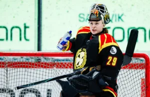 Sex SDHL-spelare i Tjeckiens OS-trupp