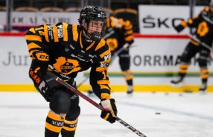 Skellefteå AIK klart för slutspel efter seger mot HV 71