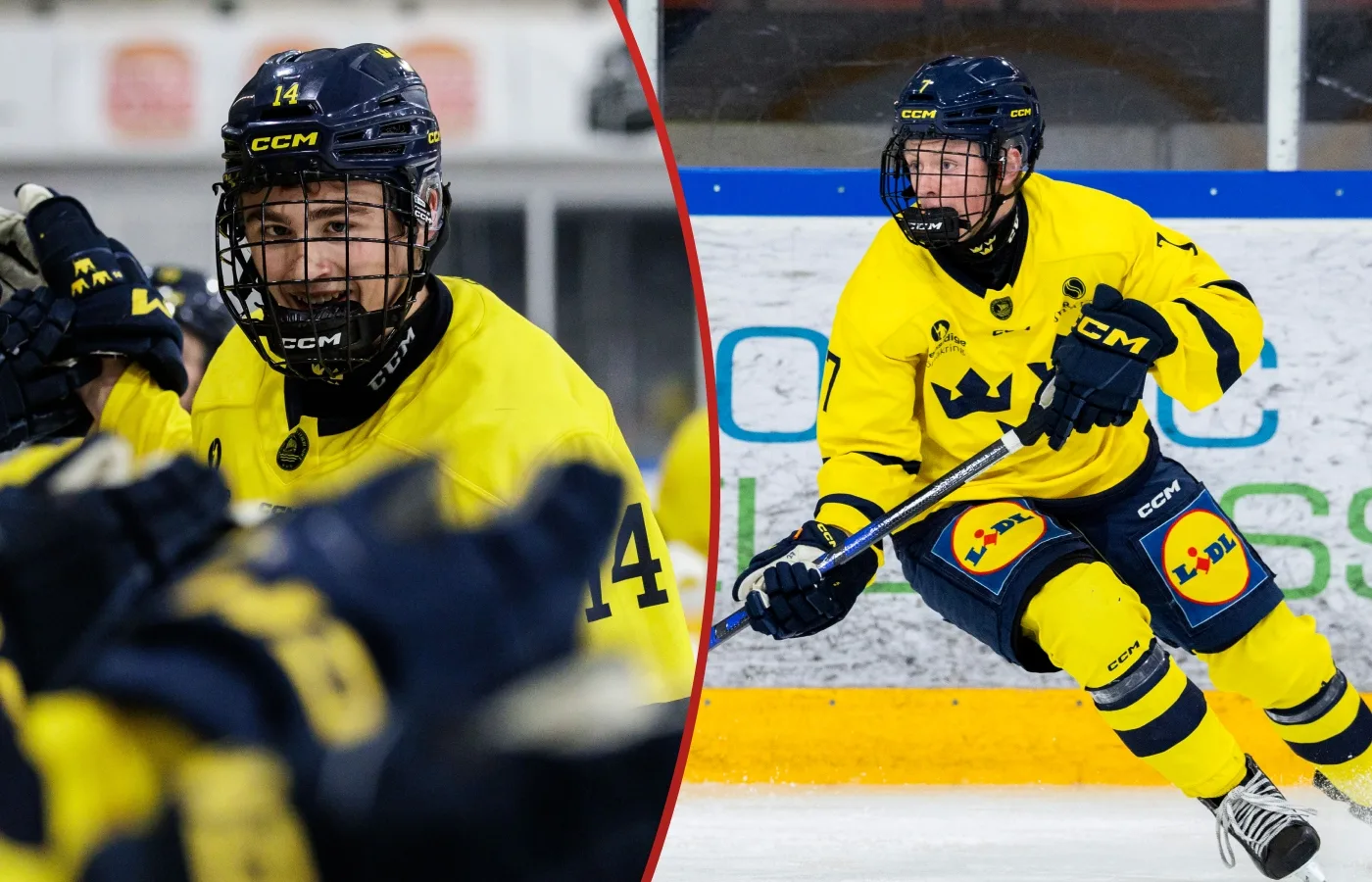 De får exceptionell status: ”Han mer eller mindre dominerar”