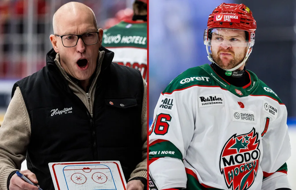 Fredrik Andersson. MoDo Hockey.