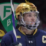 Uppgifter: AHL-backen förstärker Färjestad