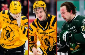 Tre SHL-spelare anmäls till disciplinnämnden