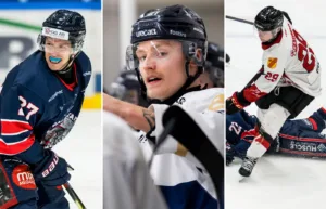 Spelarna det talas alldeles för lite om i Hockeyettan