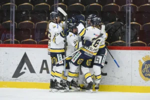 HV 71 tog hem segern mot Färjestad på bortaplan