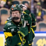 Seger för Björklöven mot Luleå på bortaplan