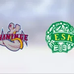 Tungt för Enköping – Haninge Anchors bröt fina vinstsviten