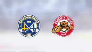 Formstarka Haparanda vann mot Brooklyn Tigers UHF U18