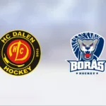 Dalen nollade Borås – vann med 3–0