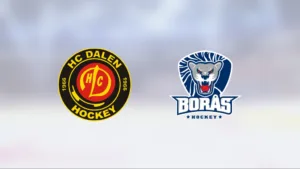 Dalen nollade Borås – vann med 3–0