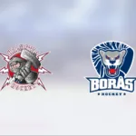 Affe Rapp i målform när Halmstad HF vann mot Borås