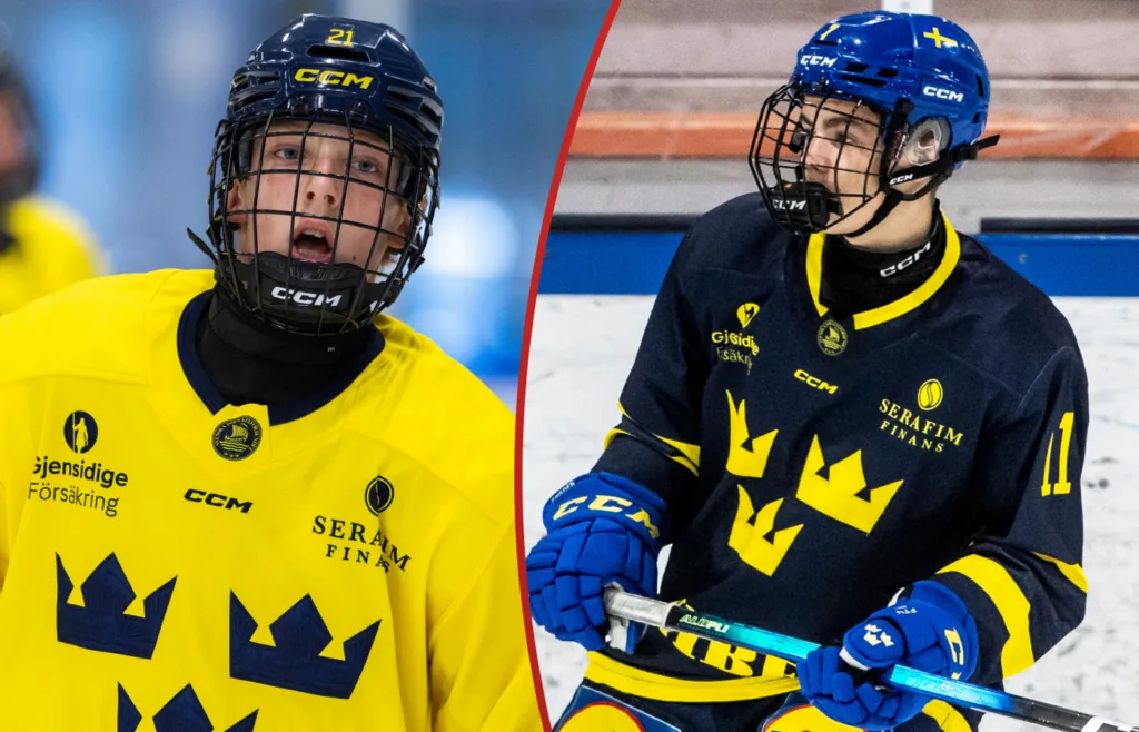 Wilson Boumedienne. Oliver Hammerman. Team 16. 