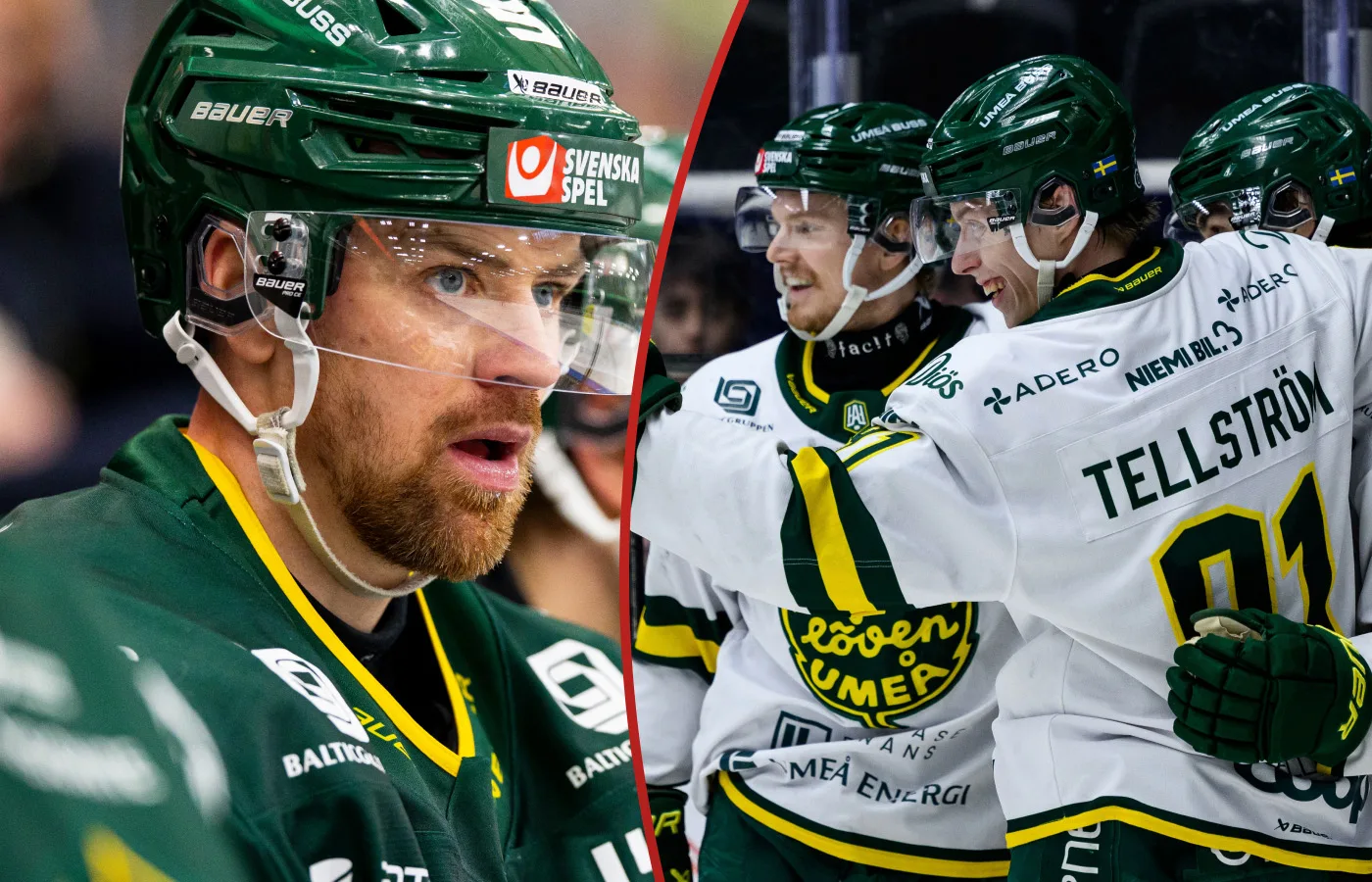 Daniel Brodin. Oscar Tellström. Björklöven.