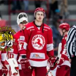 Blytunga beskedet: Borta resten av säsongen