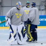 Vilken målvakt ska Sverige satsa på? ”Mest spännande med Wallstedt”