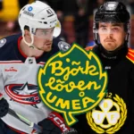 Björklöven vill värva hem toppbacken: ”Gör ett vettigt försök”