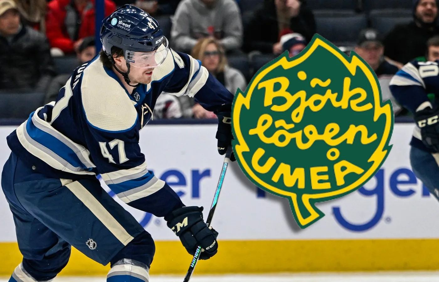 Björklöven lockar hem NHL-meriterade backen