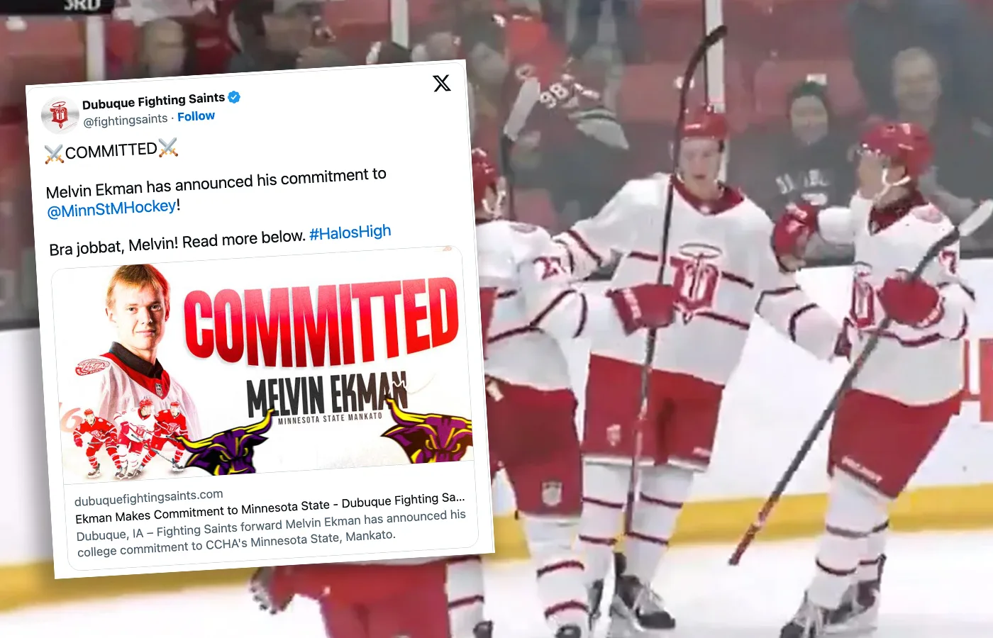 Svenske succélöftet har gjort sitt val