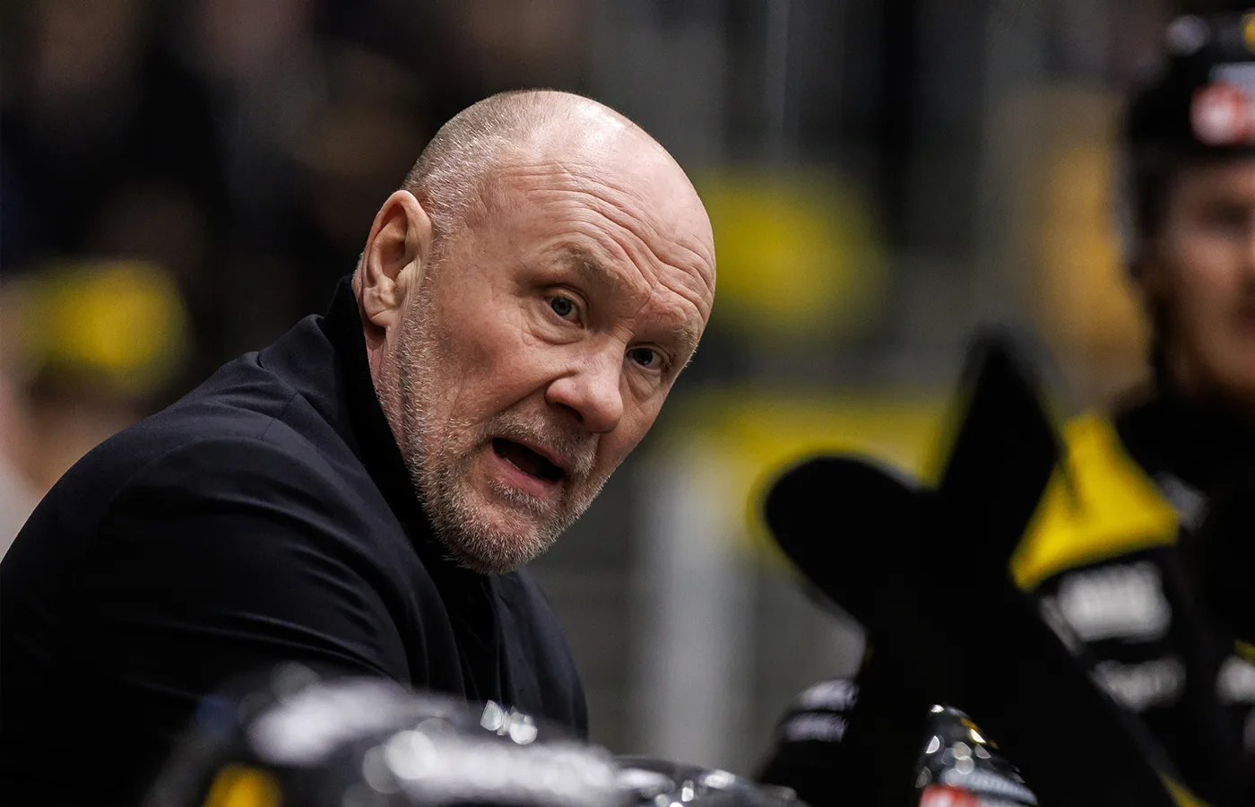 KLART: Här är Peter Anderssons nya jobb