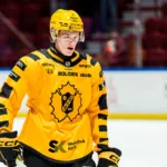 Uppgifter: SHL-backen lånas ut till Hockeyallsvenskan