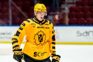 SHL-backen lånas ut till Hockeyallsvenskan