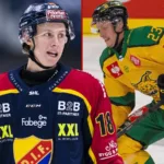 Uppgifter: Svenske succébacken har gjort sitt val