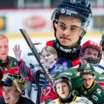 De nomineras till Guldgallret i Hockeyallsvenskan