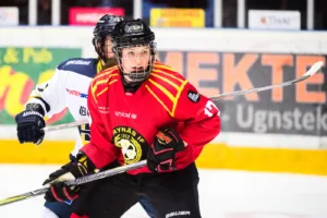 Luleå agerar efter skadan – värvar OS-back