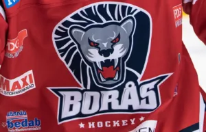 Målfest när Borås krossade Tyringe i Borås Ishall