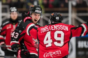 Hudiksvall har 22 raka segrar – vann mot Wings Arlanda med 8–4
