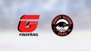 Guts/Valdemarsviks mörka svit: åtta i rad utan seger efter 4–8 mot Mighty Ravens