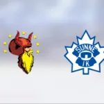 Viking avgjorde i tredje perioden mot Sunne