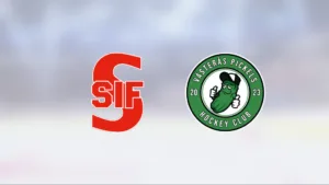 Kvarnsveden/Borlänge slog Västerås Pickels HC i måljämn match i Kristinehovs ishall