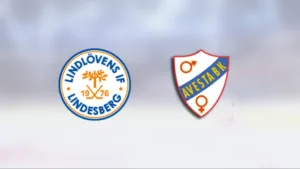 Jonas Flodström låg bakom segern för Lindlöven mot Avesta