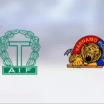 Efter förlustraden: Seger igen för Värnamo – 6–4 mot Tingsryds AIF J20