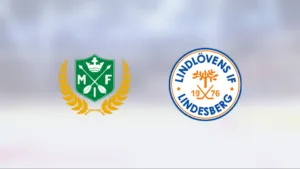 Äntligen seger för Malung mot Lindlöven J18