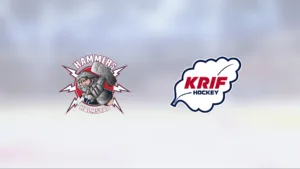 Hemmasegern mot KRIF Hockey J18 förlänger sviten för Halmstad J18