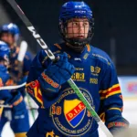 DIF-profilens besked − avslutar hockeykarriären