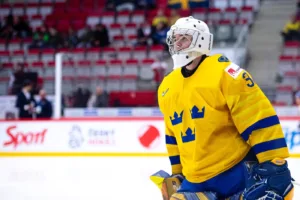 Tidigare JVM-svensken återkallas till NHL